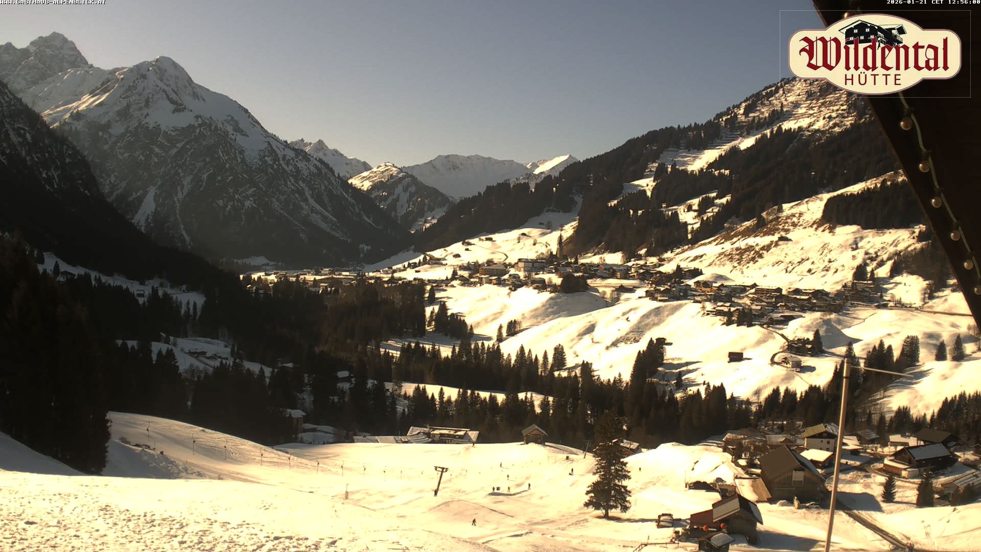 Archiv Foto Webcam Wildentalhütte, Höfle