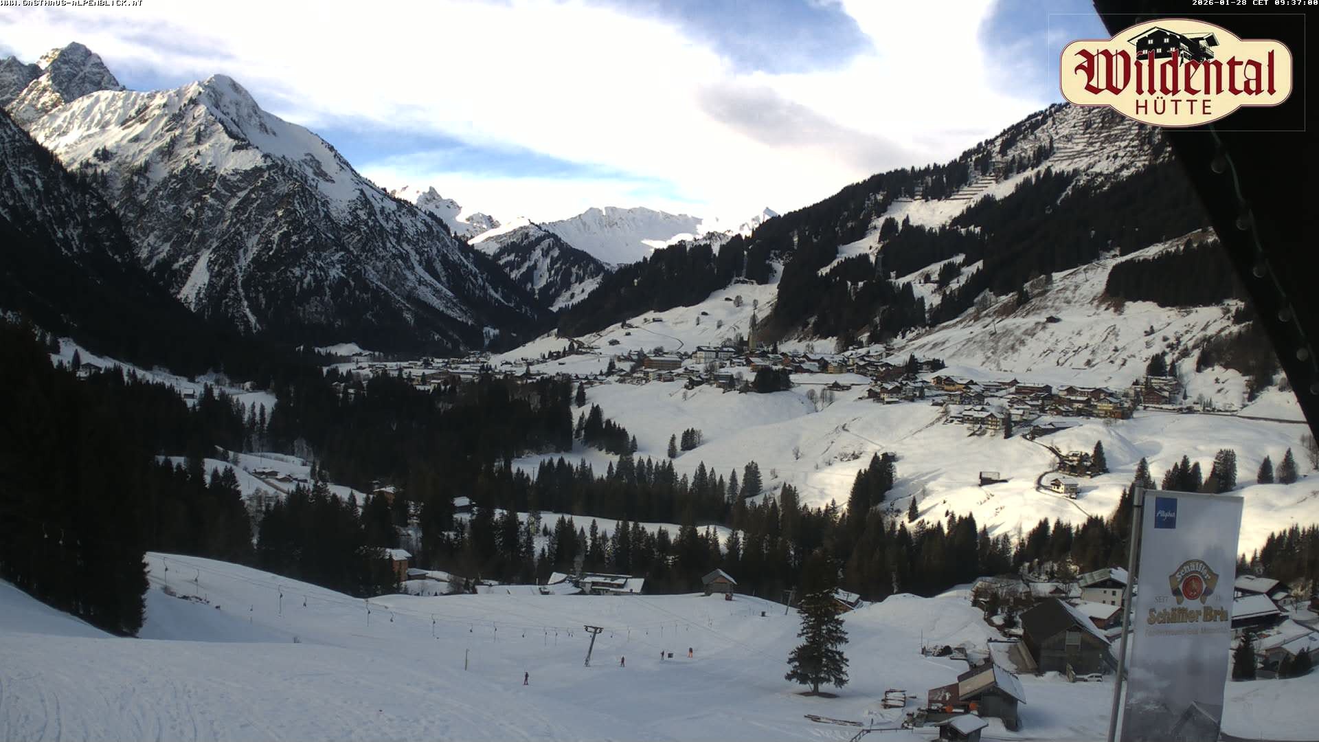 Archiv Foto Webcam Wildentalhütte, Höfle