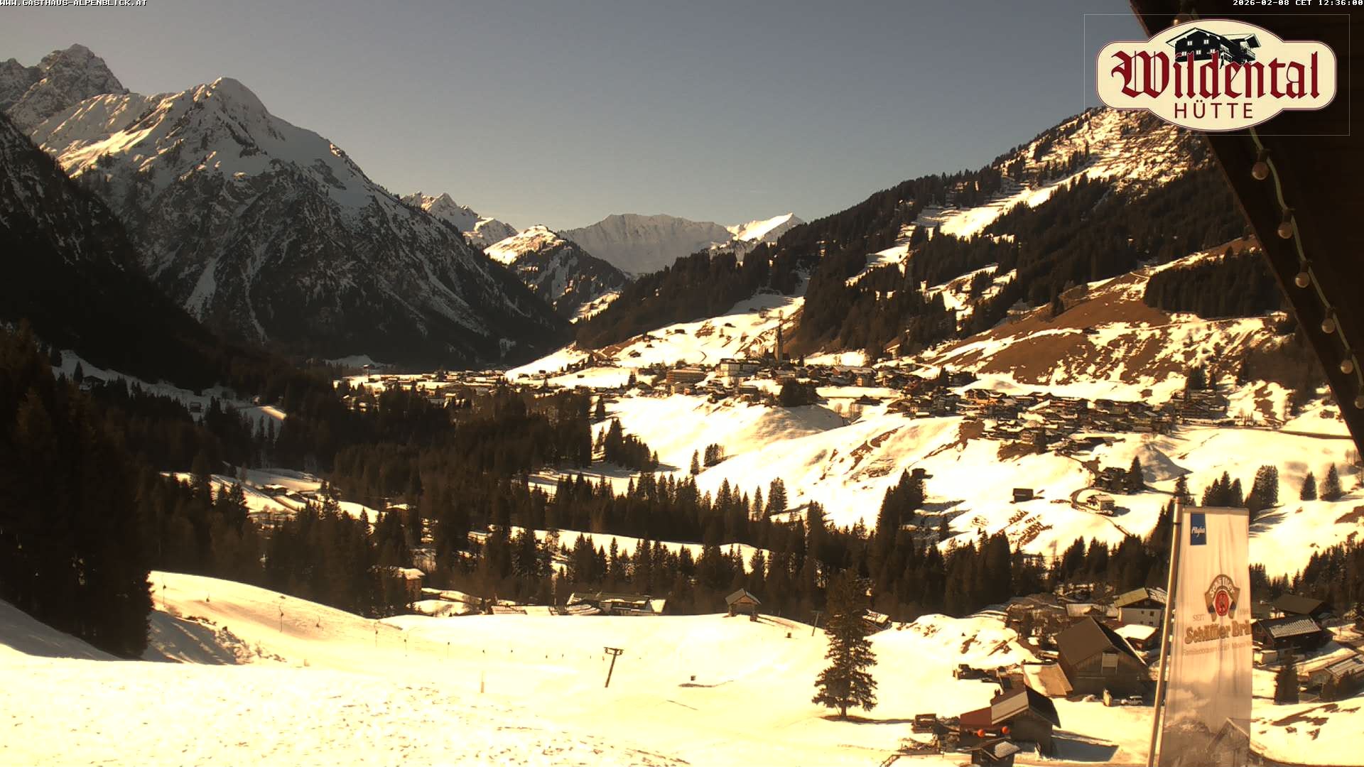 Archiv Foto Webcam Wildentalhütte, Höfle