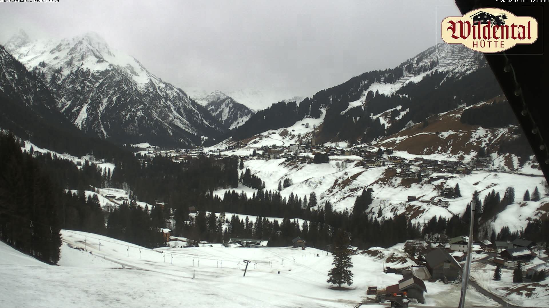 Archiv Foto Webcam Wildentalhütte, Höfle