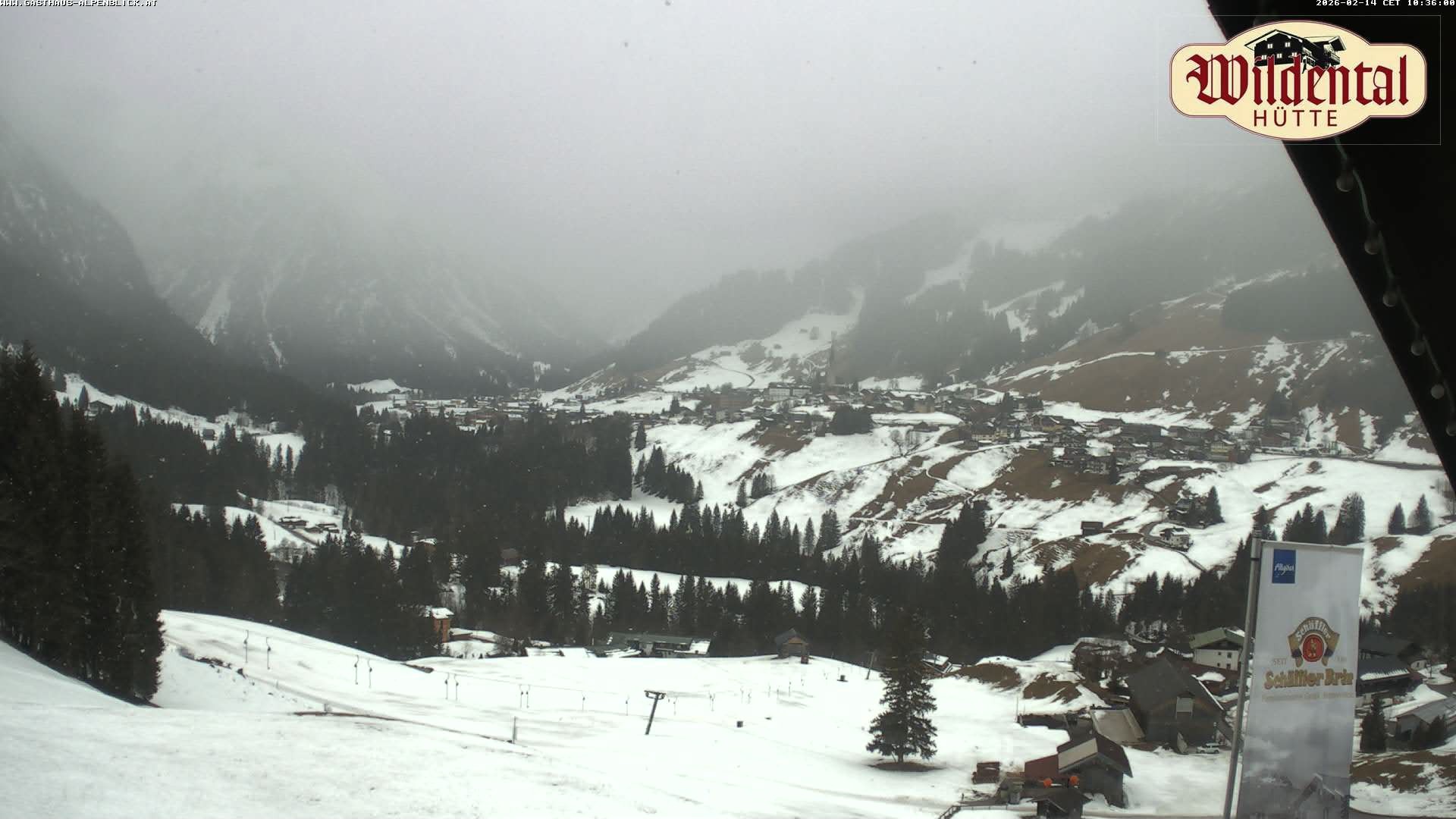 Archiv Foto Webcam Wildentalhütte, Höfle