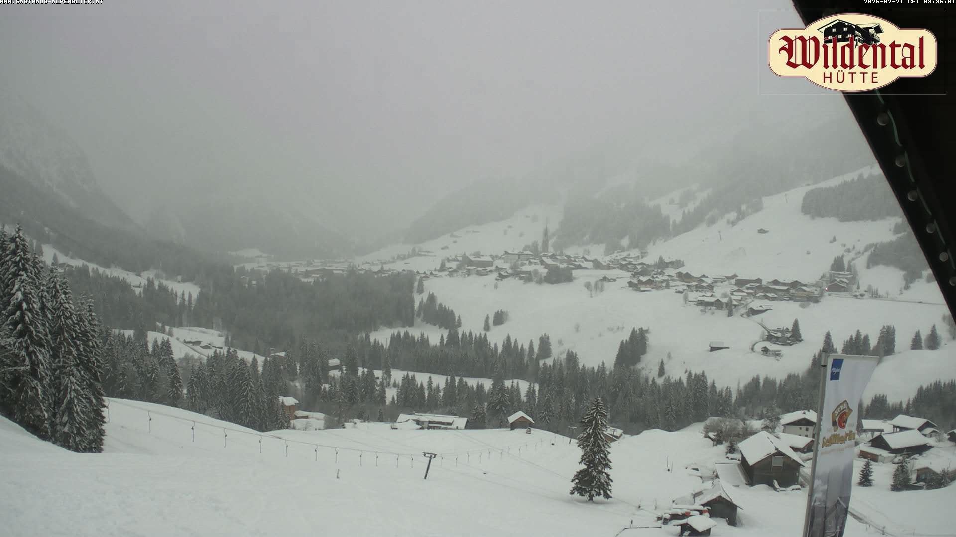 Archiv Foto Webcam Wildentalhütte, Höfle