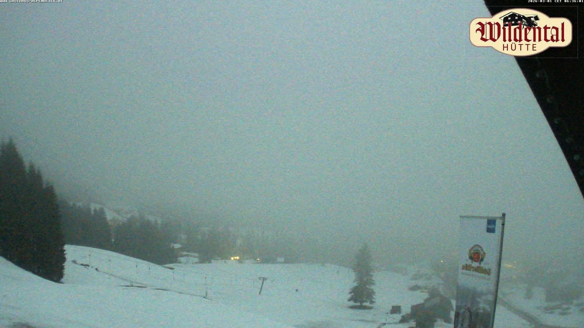 Archiv Foto Webcam Wildentalhütte, Höfle