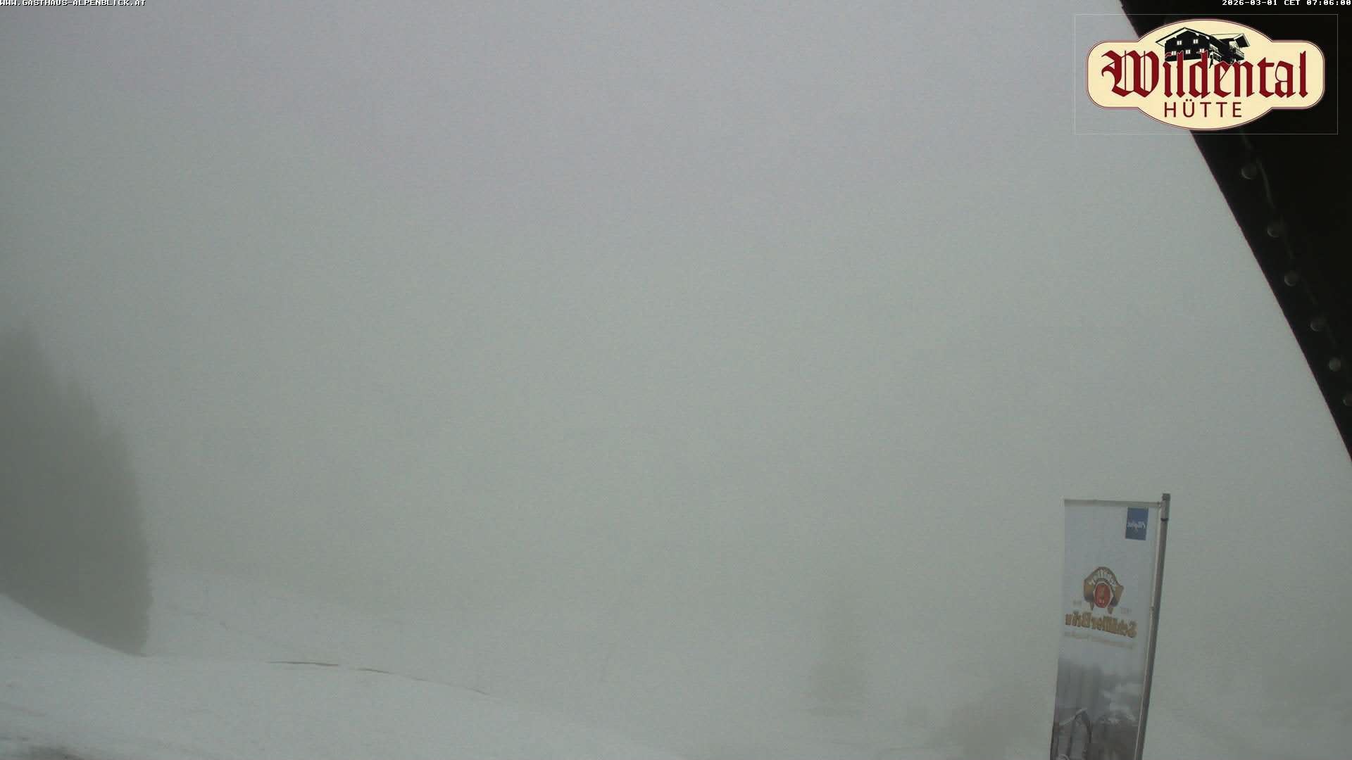 Archiv Foto Webcam Wildentalhütte, Höfle