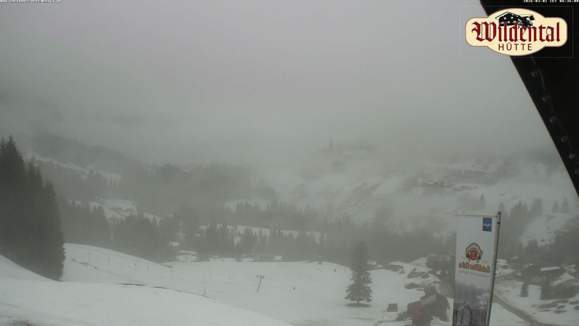 Archiv Foto Webcam Wildentalhütte, Höfle