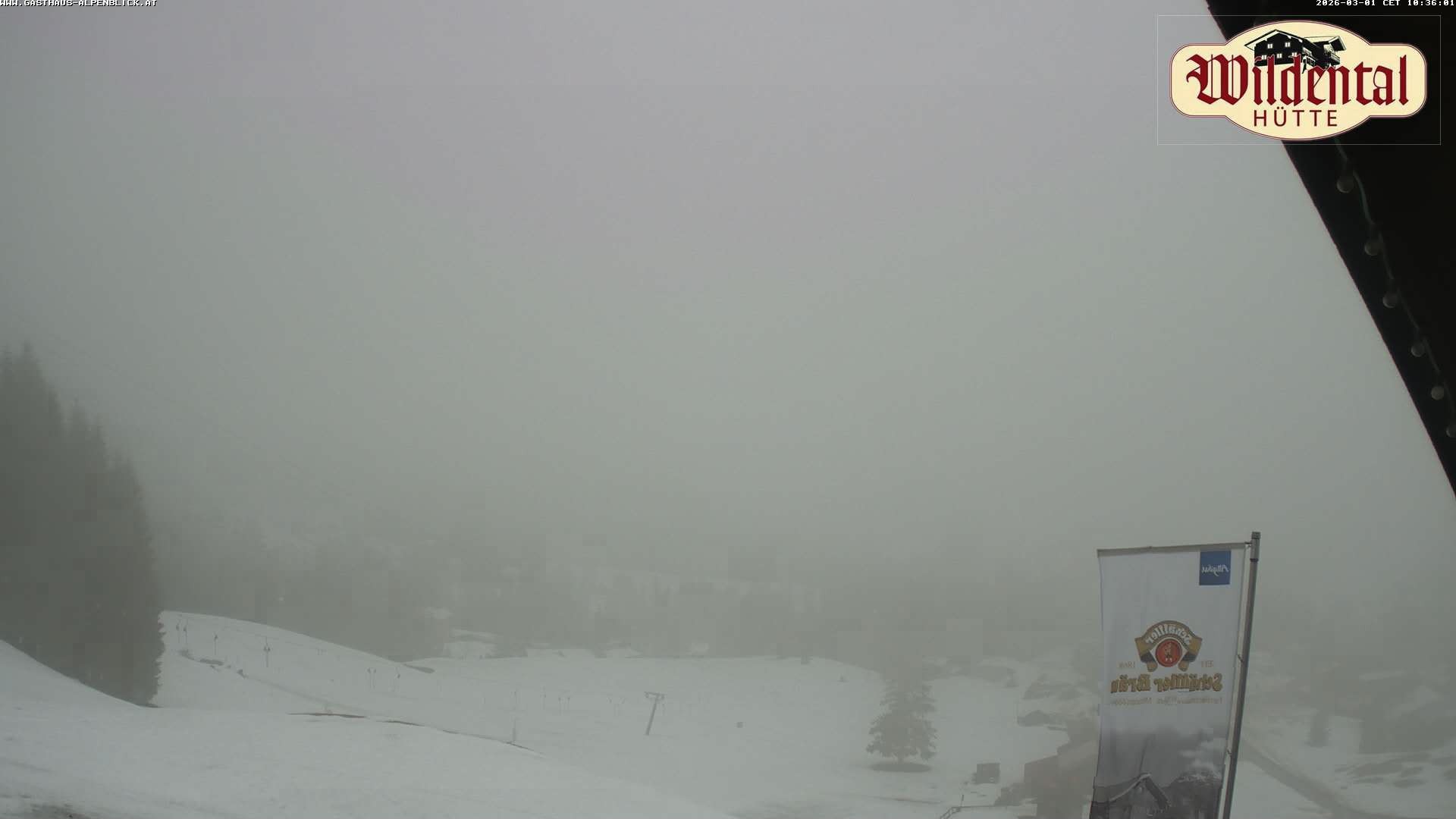 Archiv Foto Webcam Wildentalhütte, Höfle