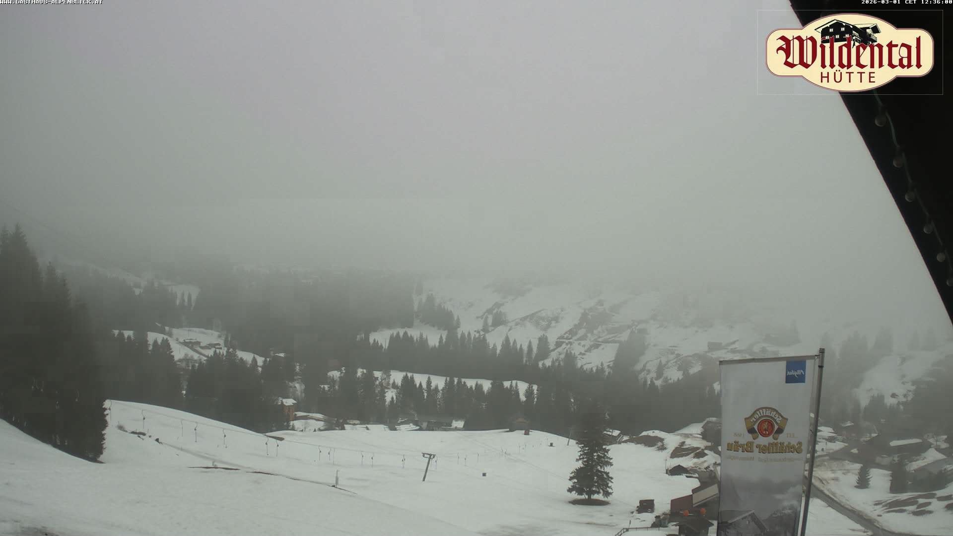 Archiv Foto Webcam Wildentalhütte, Höfle