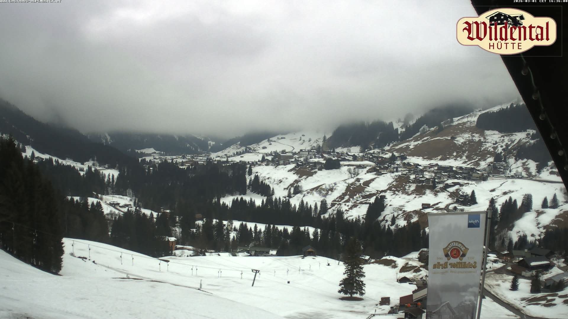 Archiv Foto Webcam Wildentalhütte, Höfle