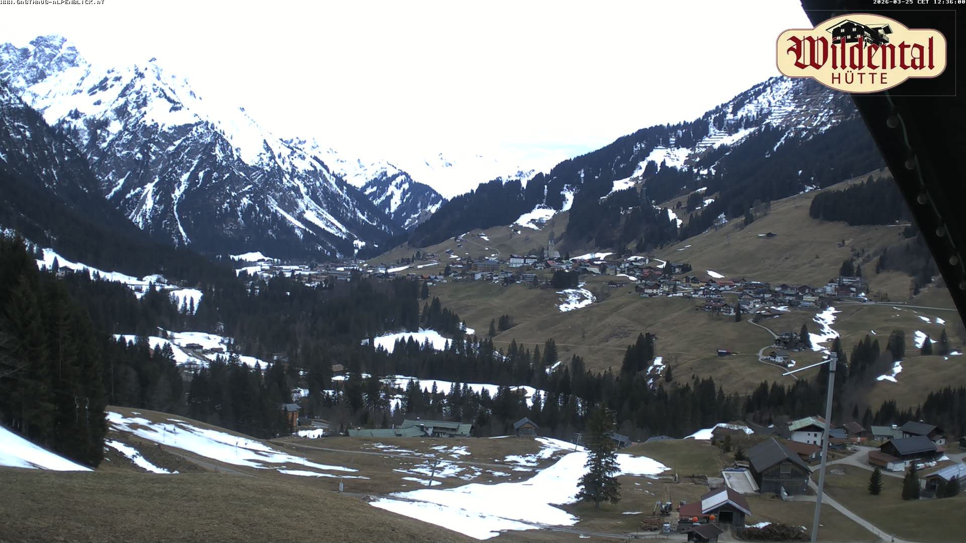 Archiv Foto Webcam Wildentalhütte, Höfle