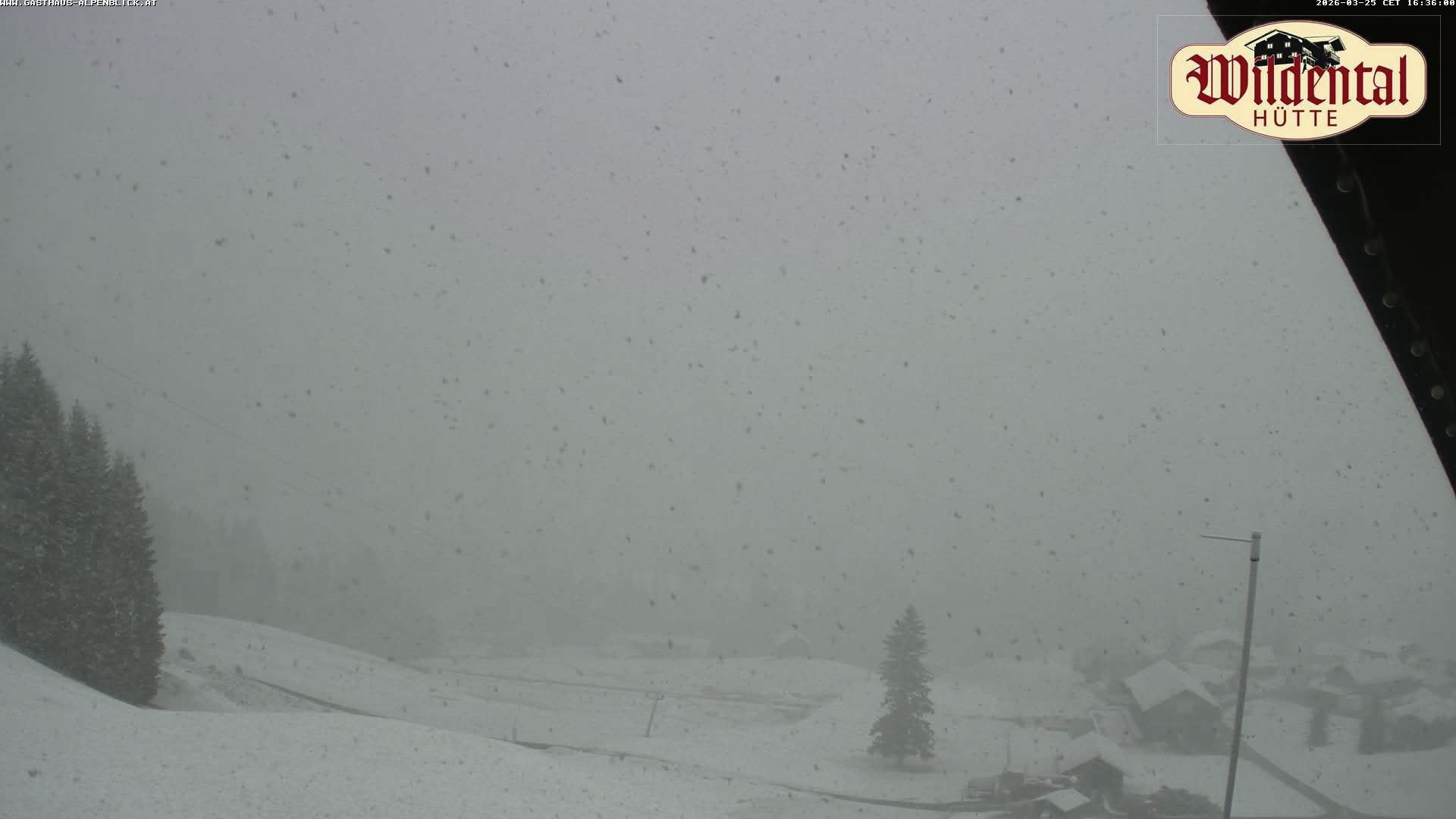 Archiv Foto Webcam Wildentalhütte, Höfle