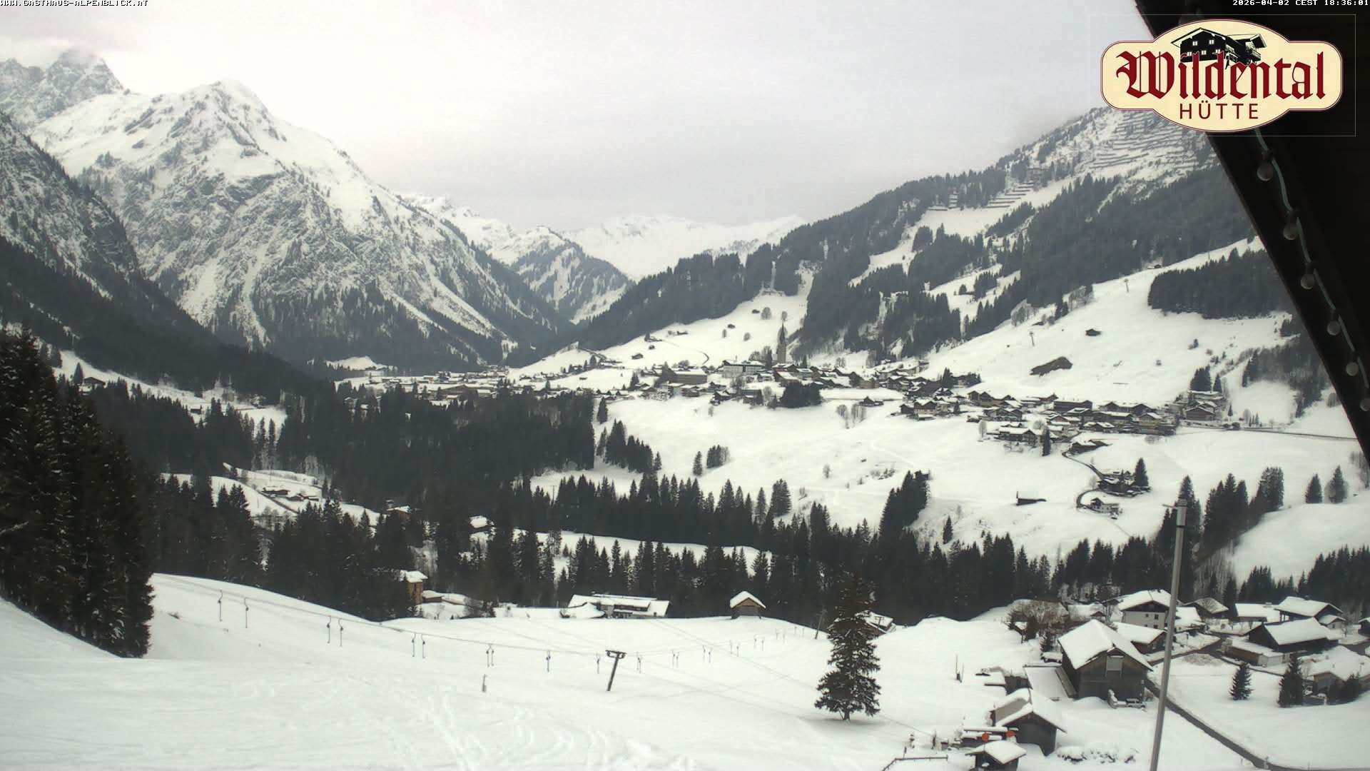 Archiv Foto Webcam Wildentalhütte, Höfle