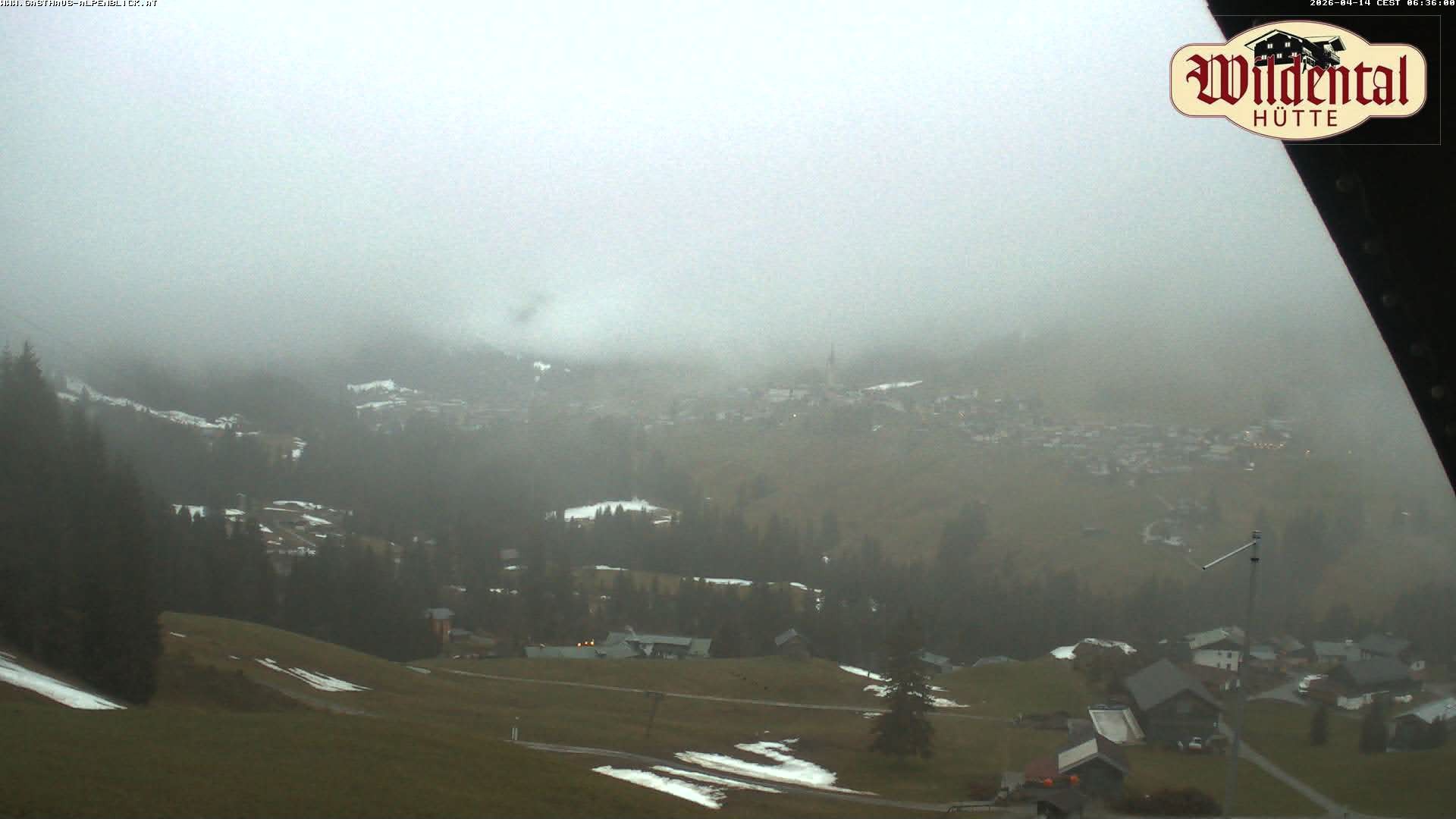 Archiv Foto Webcam Wildentalhütte, Höfle