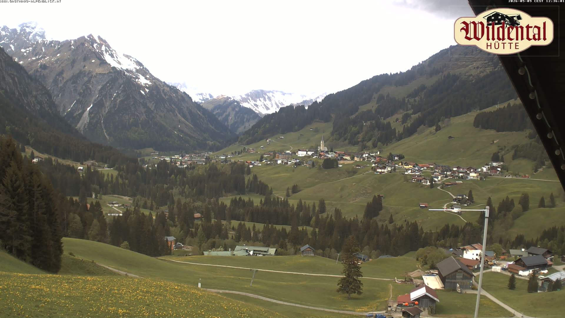 Archiv Foto Webcam Wildentalhütte, Höfle