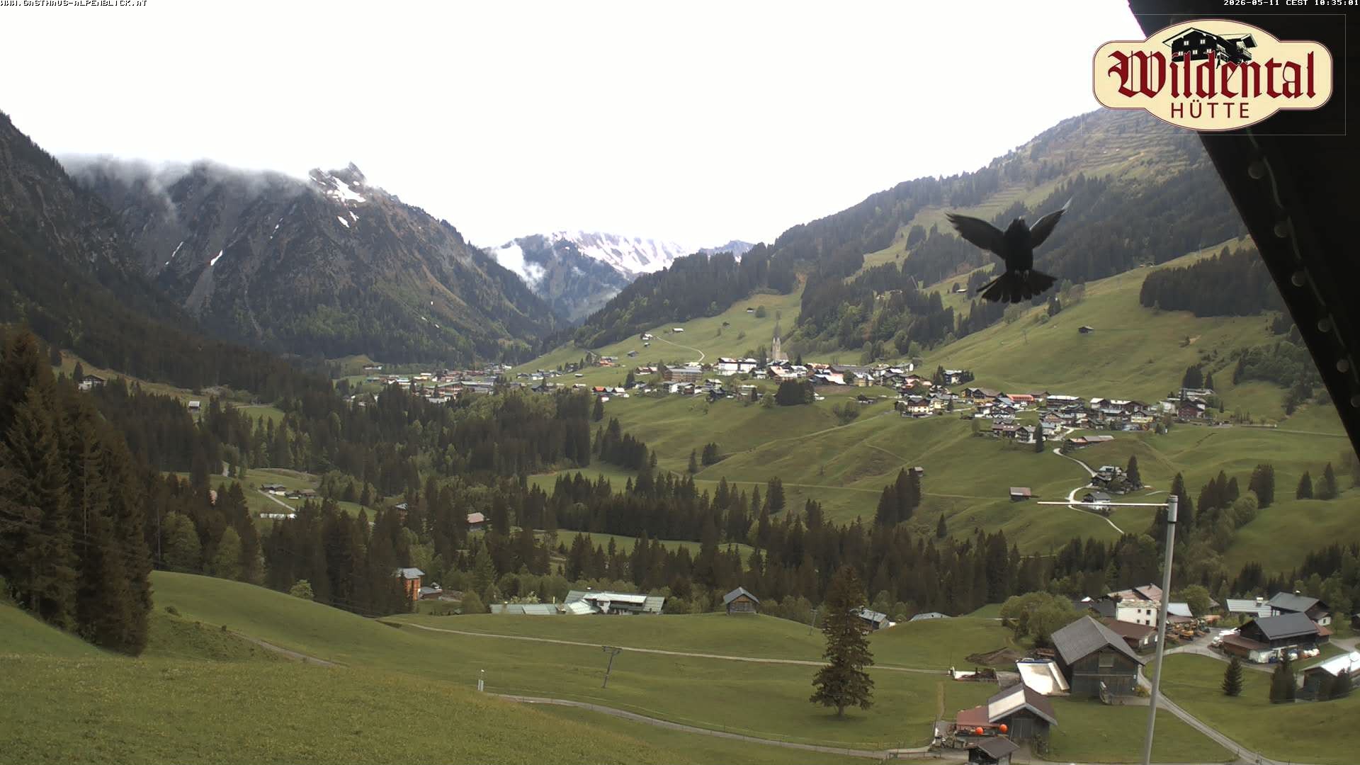 Archiv Foto Webcam Wildentalhütte, Höfle