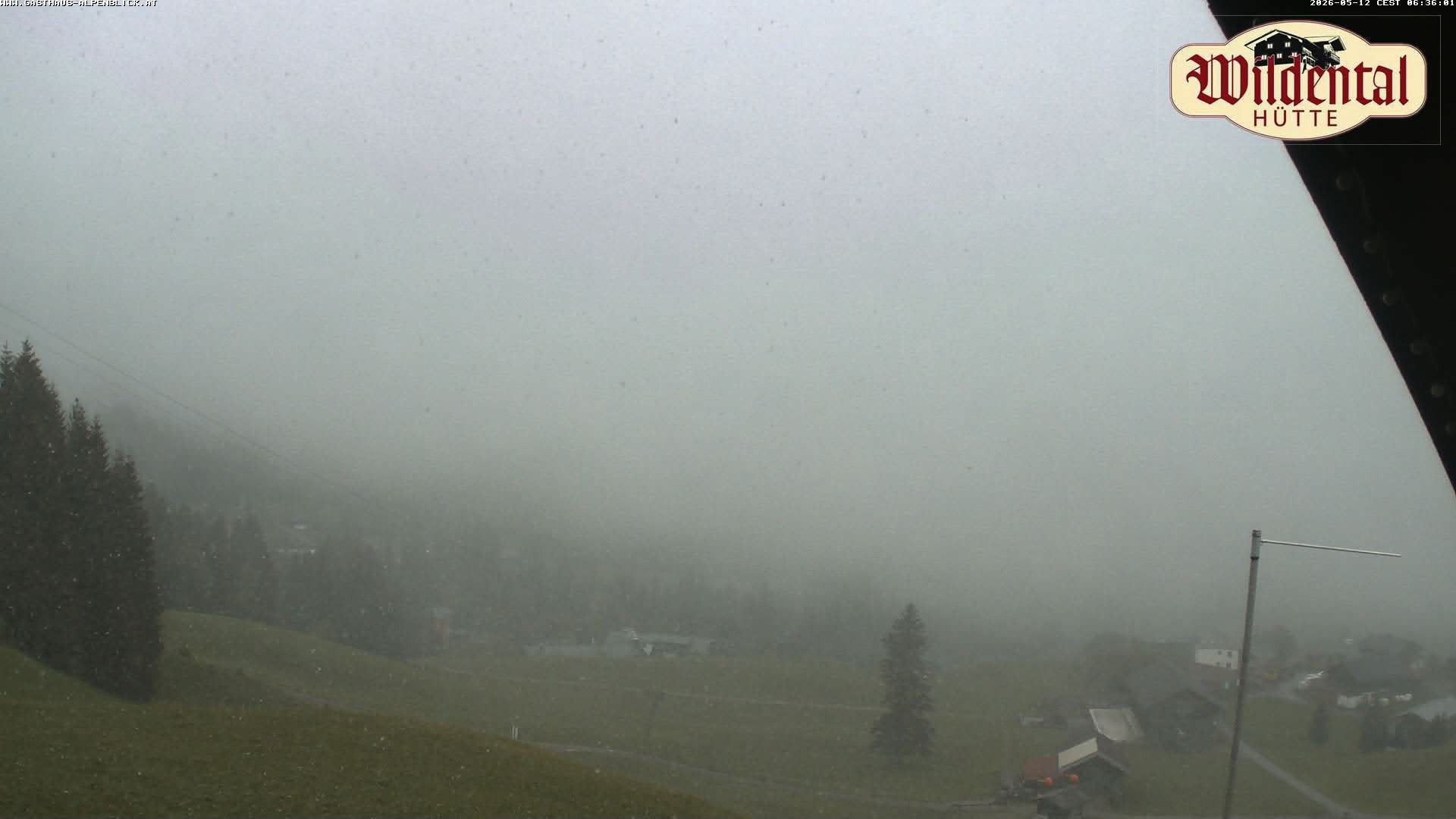 Archiv Foto Webcam Wildentalhütte, Höfle