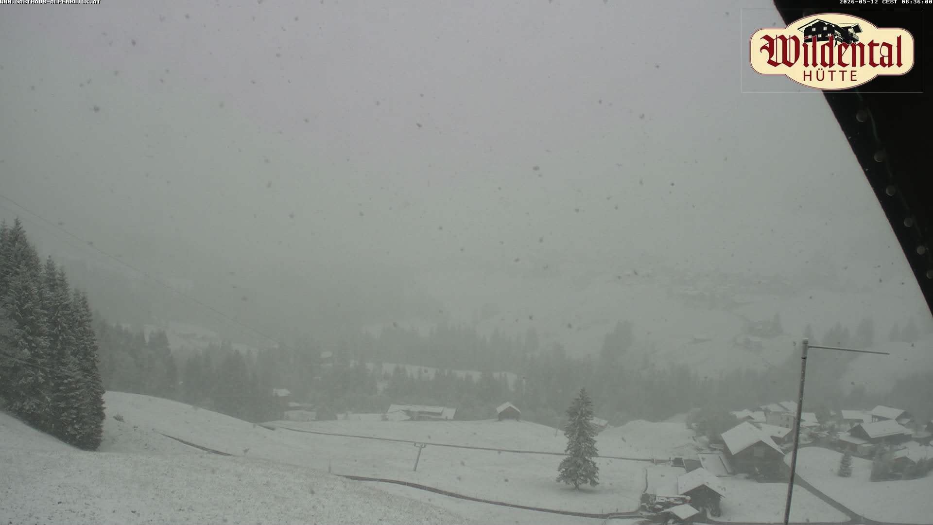 Archiv Foto Webcam Wildentalhütte, Höfle