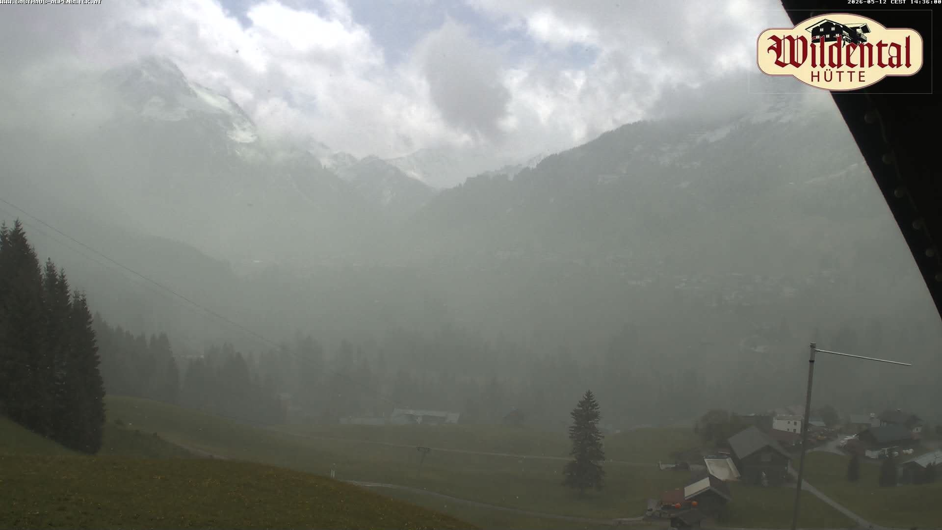 Archiv Foto Webcam Wildentalhütte, Höfle