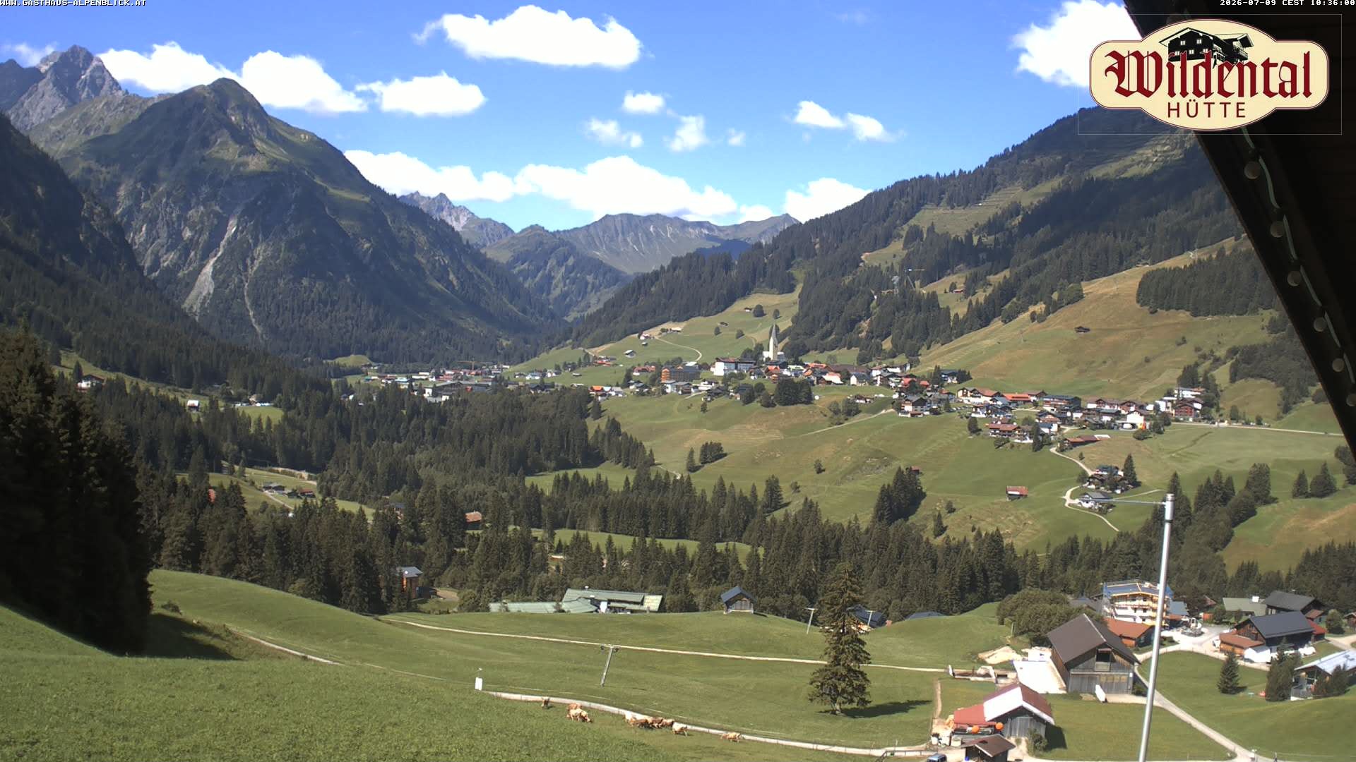 Archiv Foto Webcam Wildentalhütte, Höfle