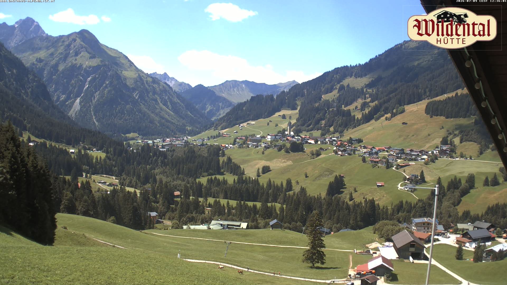 Archiv Foto Webcam Wildentalhütte, Höfle
