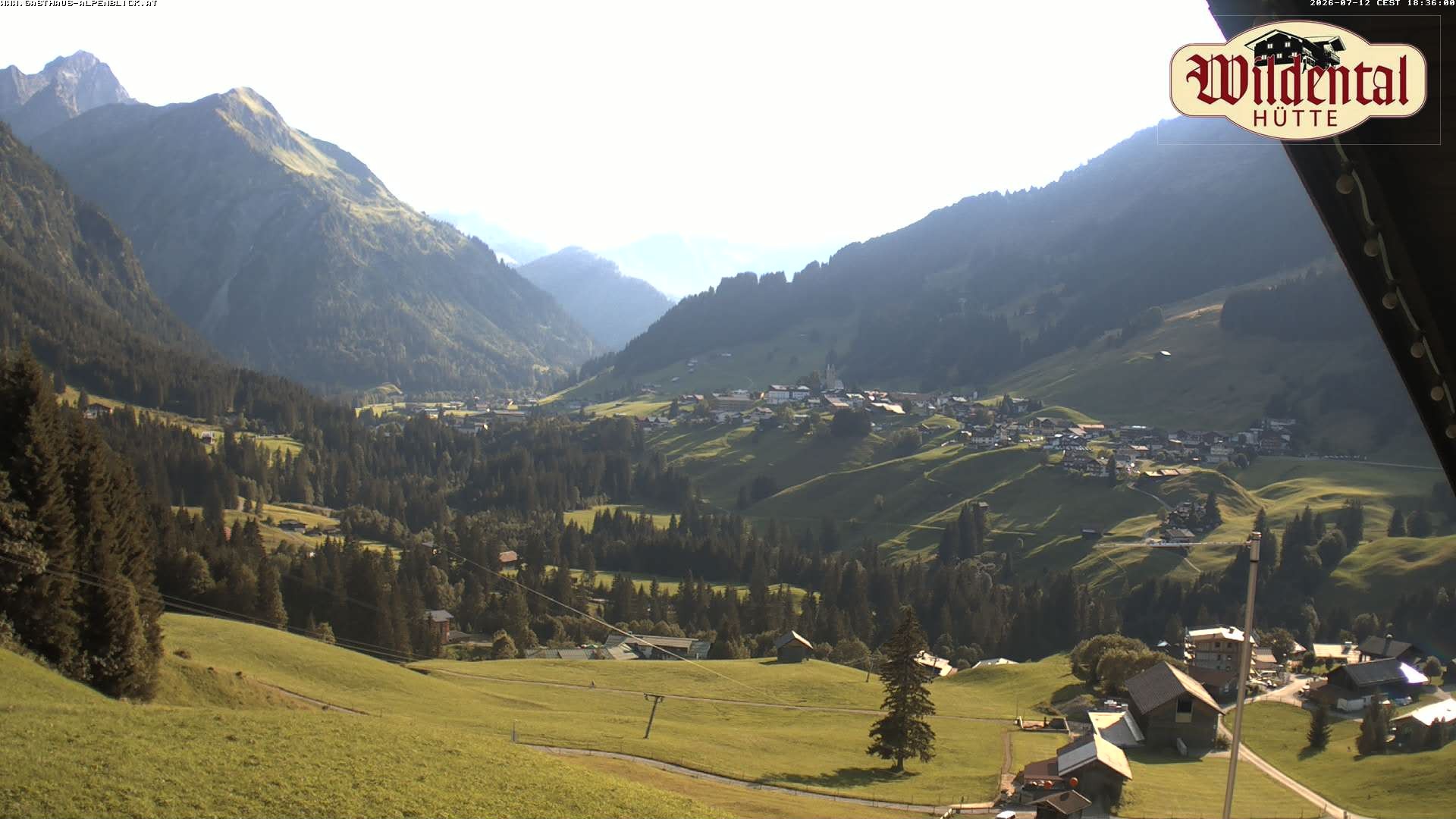 Archiv Foto Webcam Wildentalhütte, Höfle