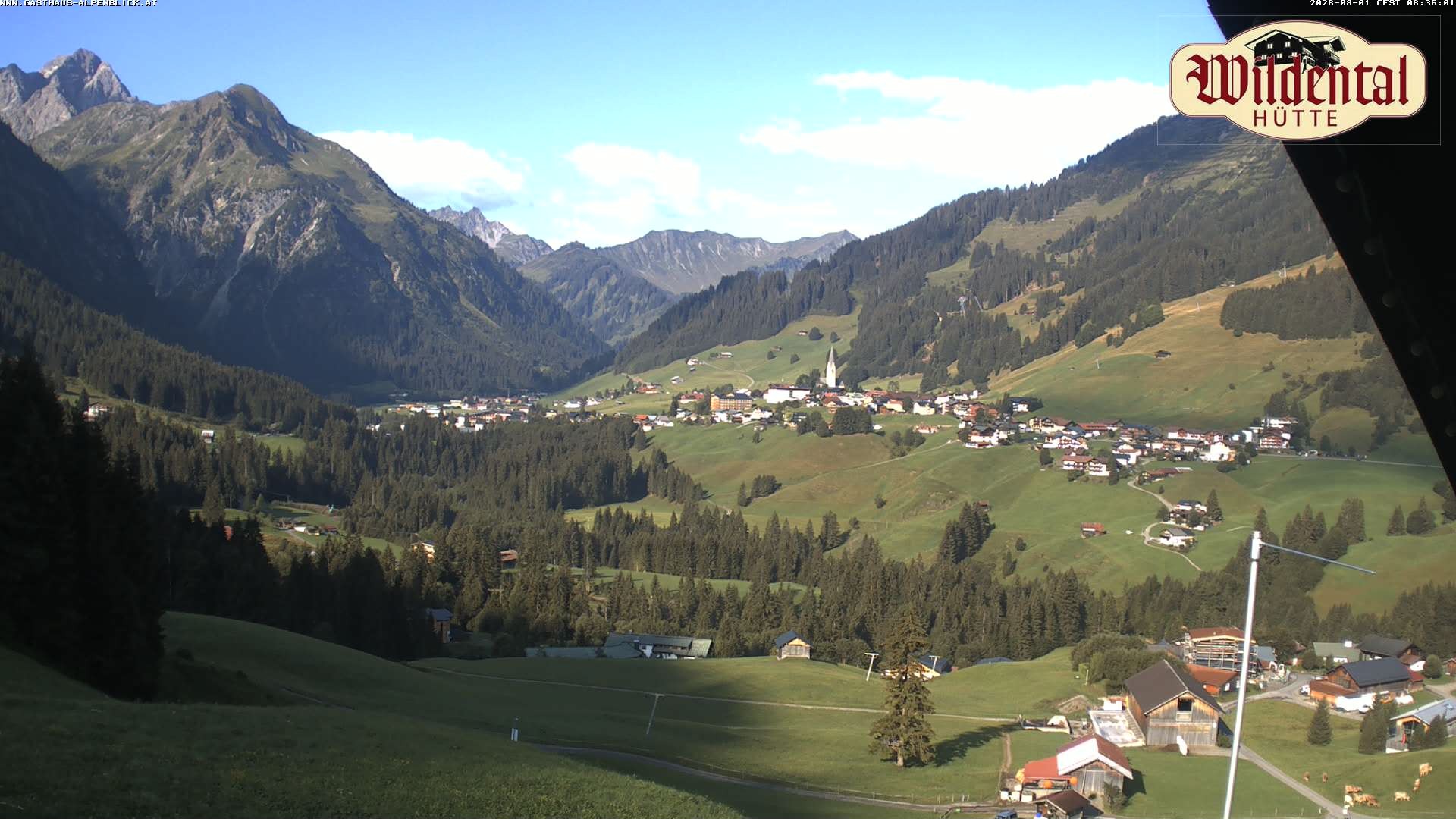 Archiv Foto Webcam Wildentalhütte, Höfle