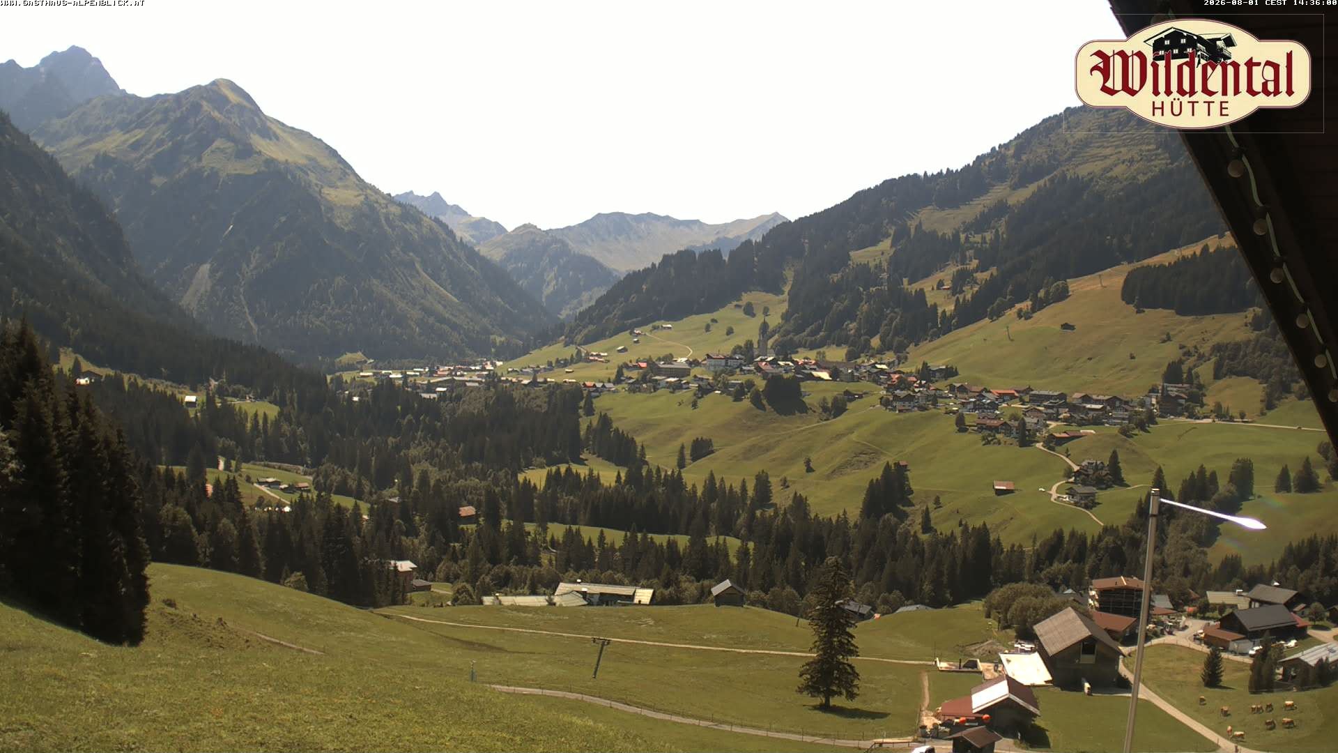 Archiv Foto Webcam Wildentalhütte, Höfle