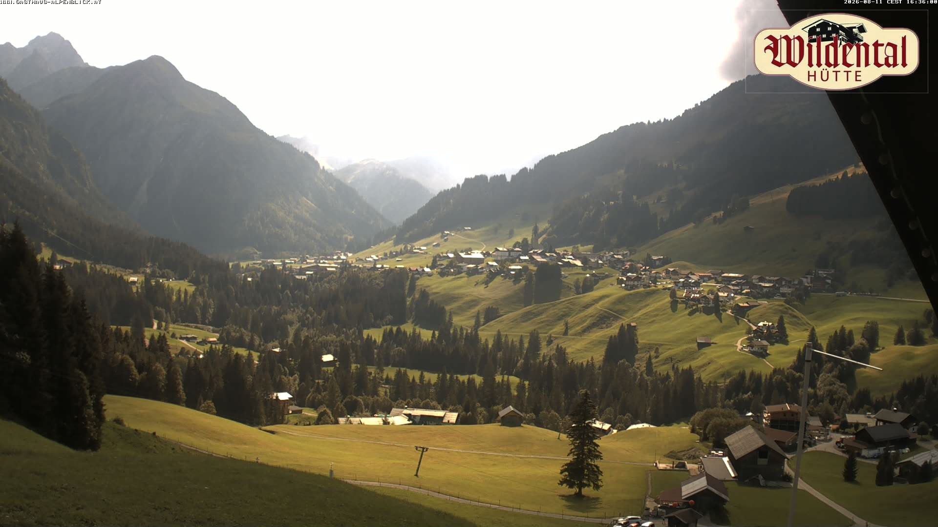Archiv Foto Webcam Wildentalhütte, Höfle