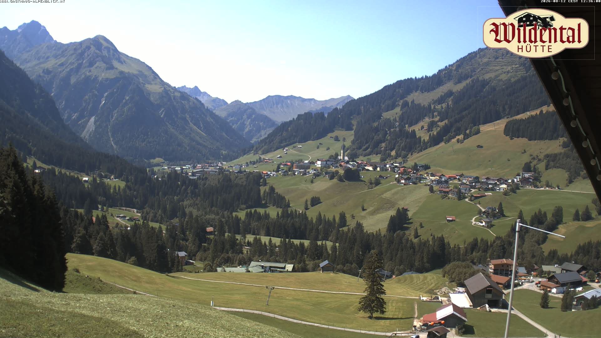 Archiv Foto Webcam Wildentalhütte, Höfle