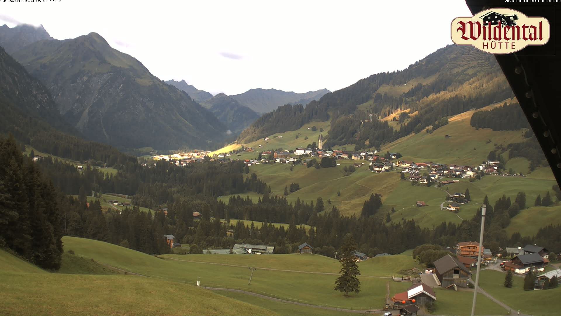 Archiv Foto Webcam Wildentalhütte, Höfle