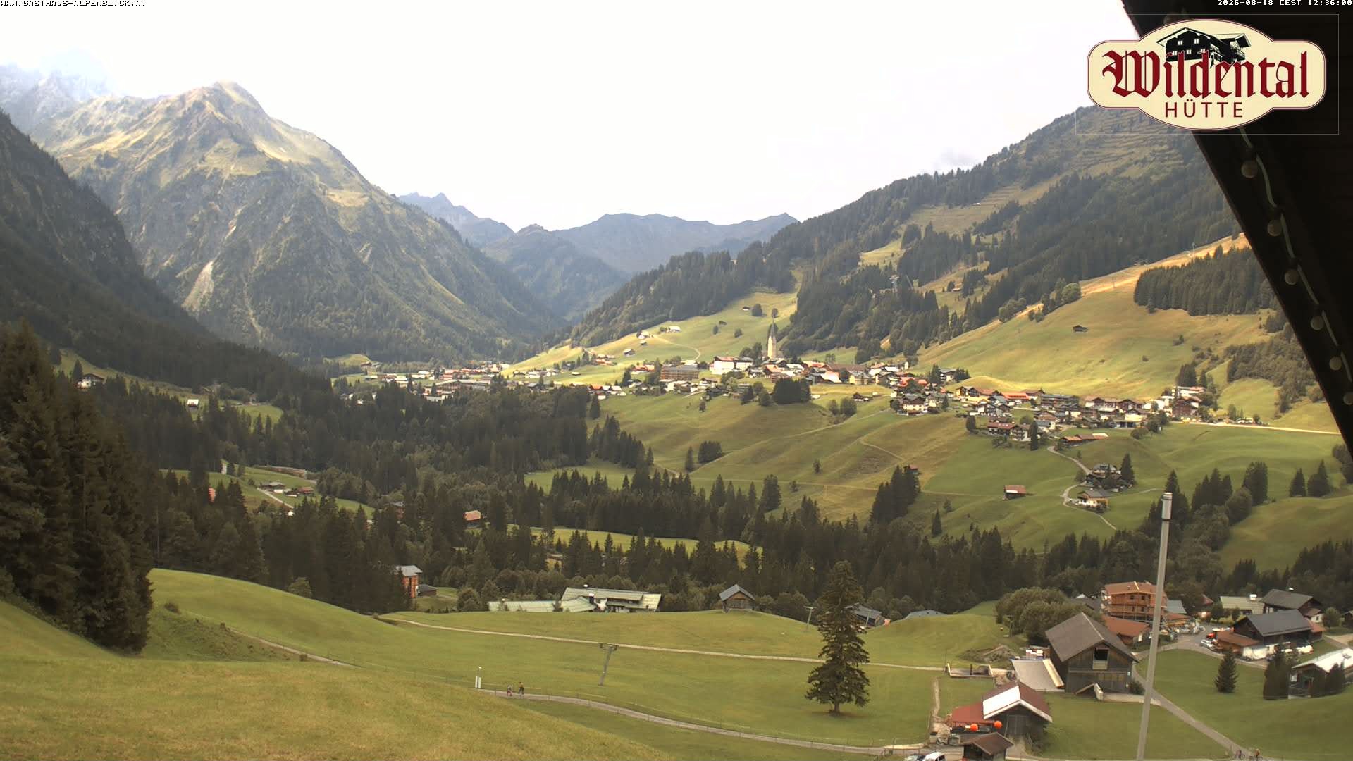 Archiv Foto Webcam Wildentalhütte, Höfle