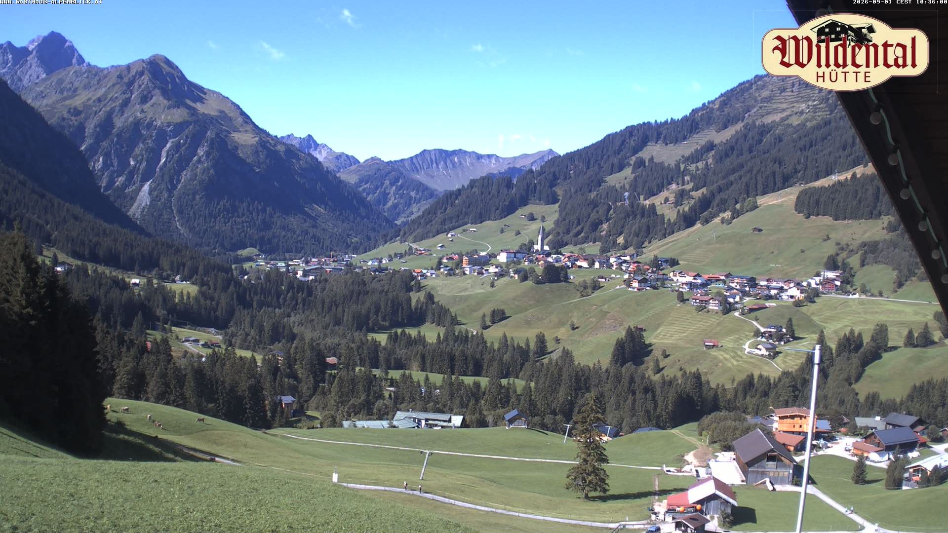 Archiv Foto Webcam Wildentalhütte, Höfle