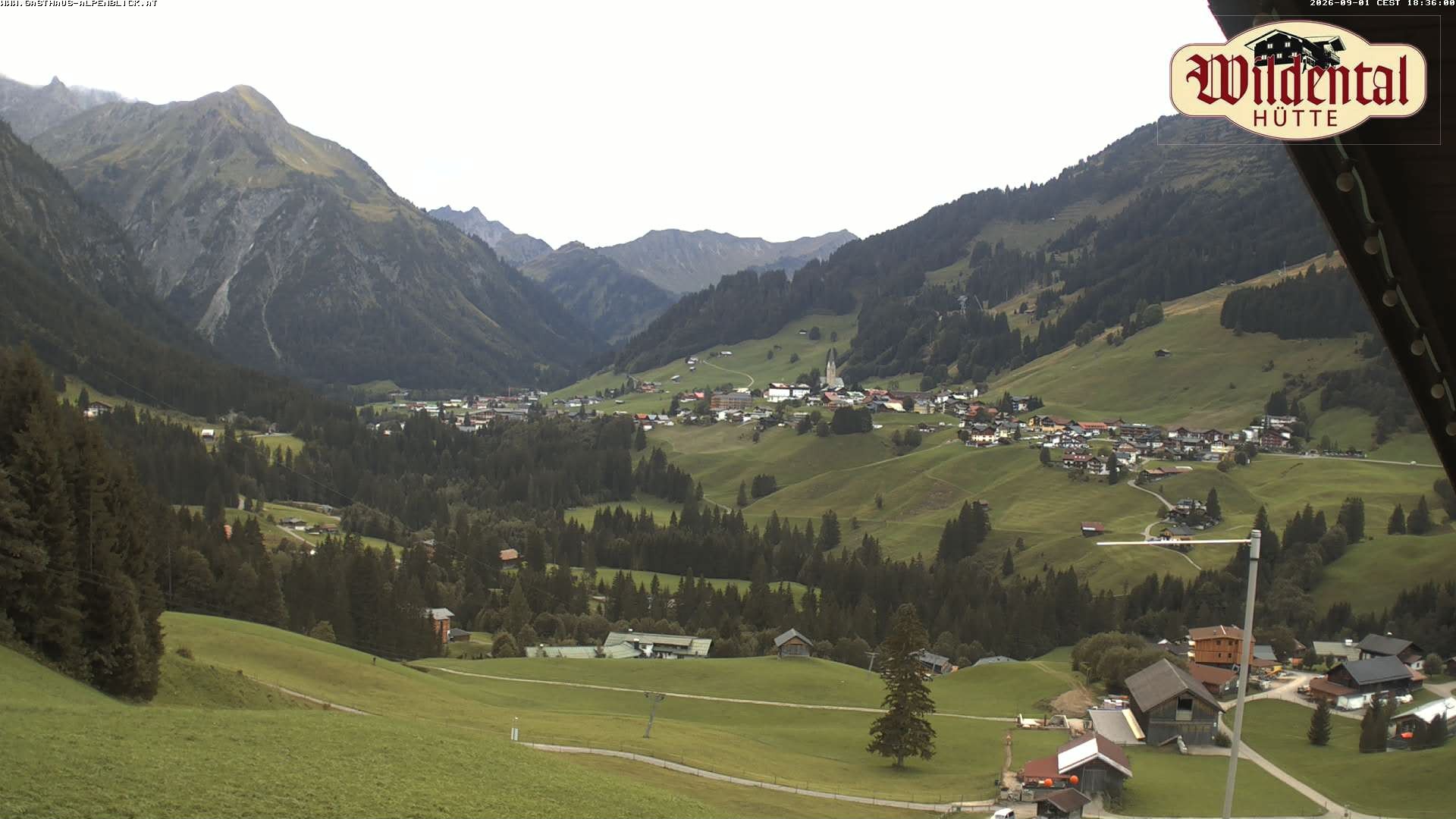 Archiv Foto Webcam Wildentalhütte, Höfle