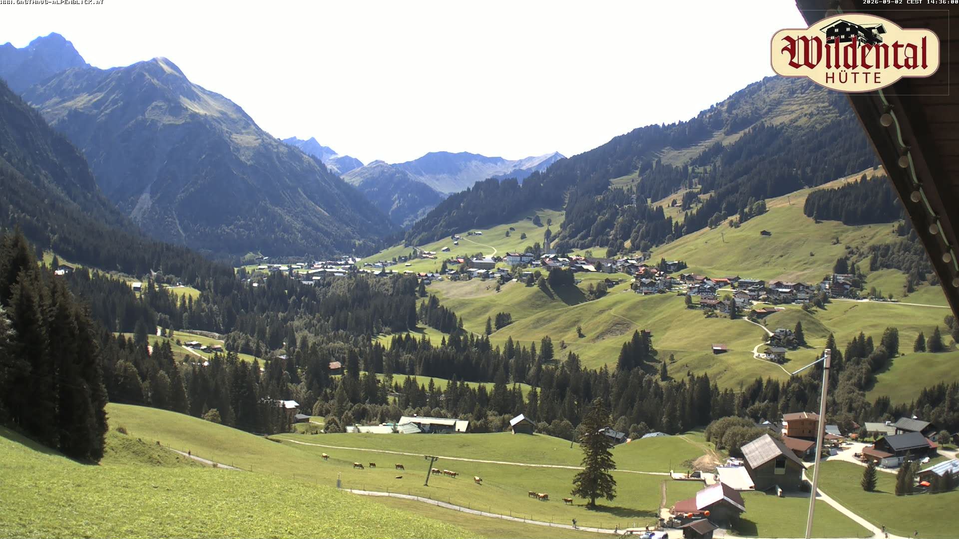 Archiv Foto Webcam Wildentalhütte, Höfle