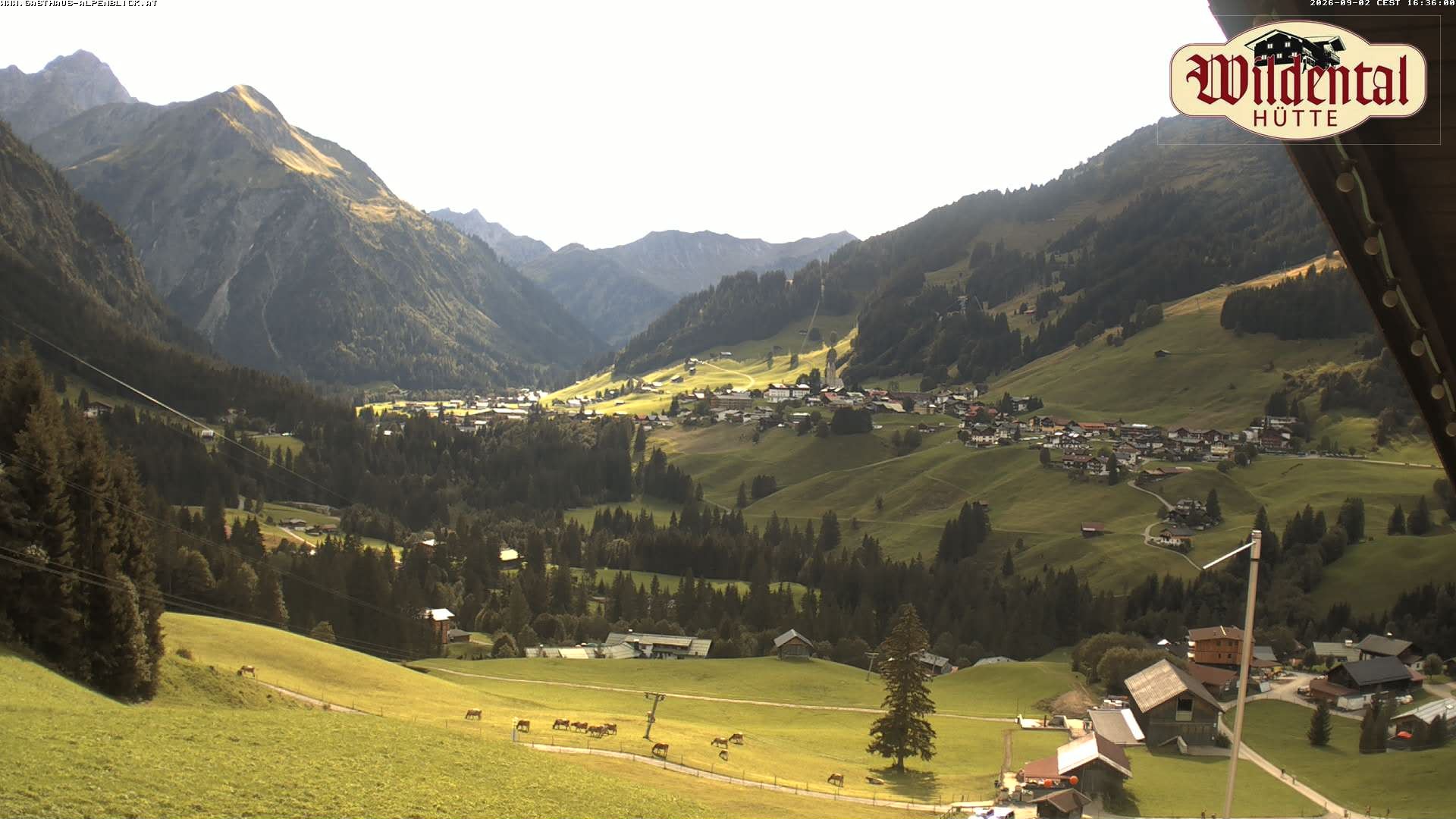 Archiv Foto Webcam Wildentalhütte, Höfle