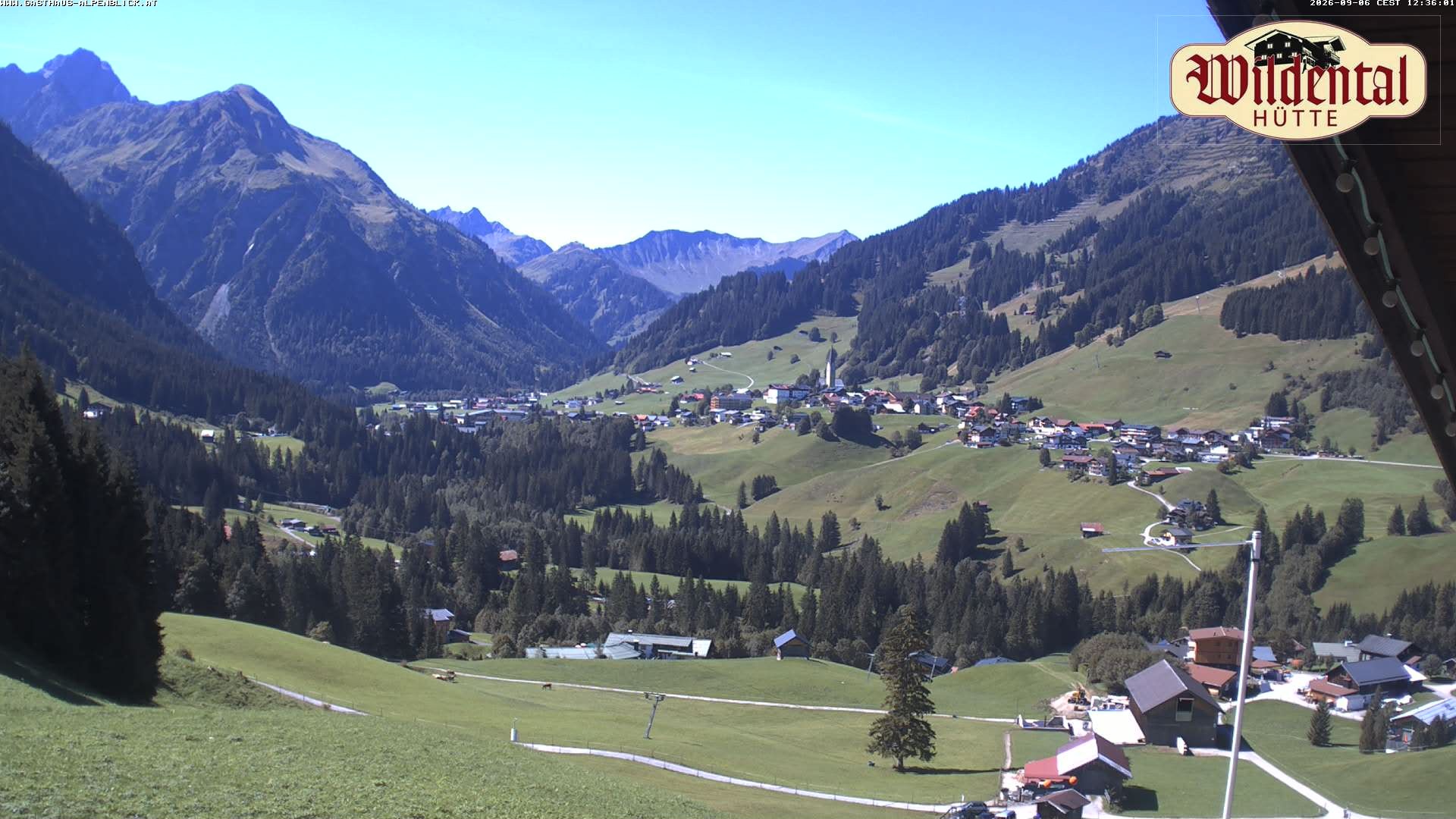 Archiv Foto Webcam Wildentalhütte, Höfle