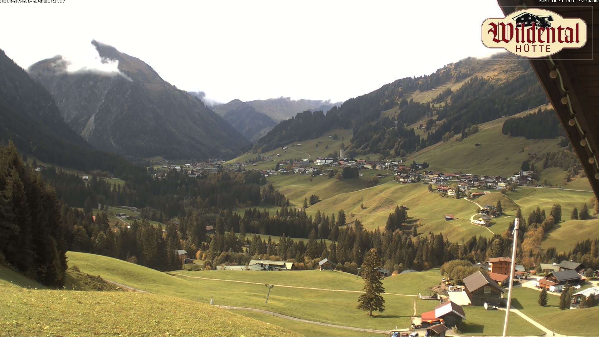 Archiv Foto Webcam Wildentalhütte, Höfle