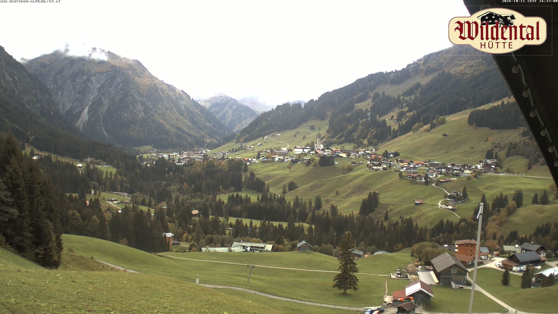 Archiv Foto Webcam Wildentalhütte, Höfle