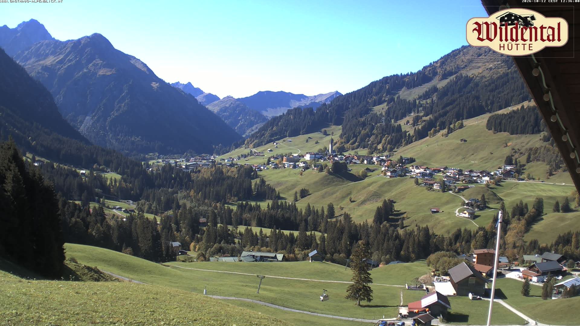 Archiv Foto Webcam Wildentalhütte, Höfle
