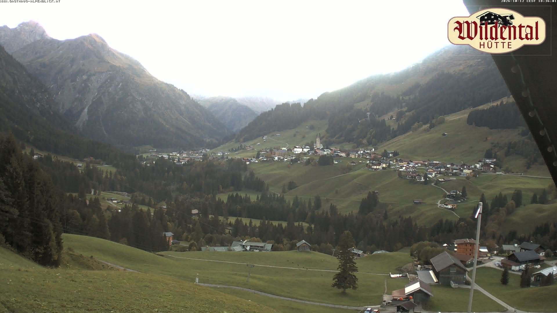 Archiv Foto Webcam Wildentalhütte, Höfle