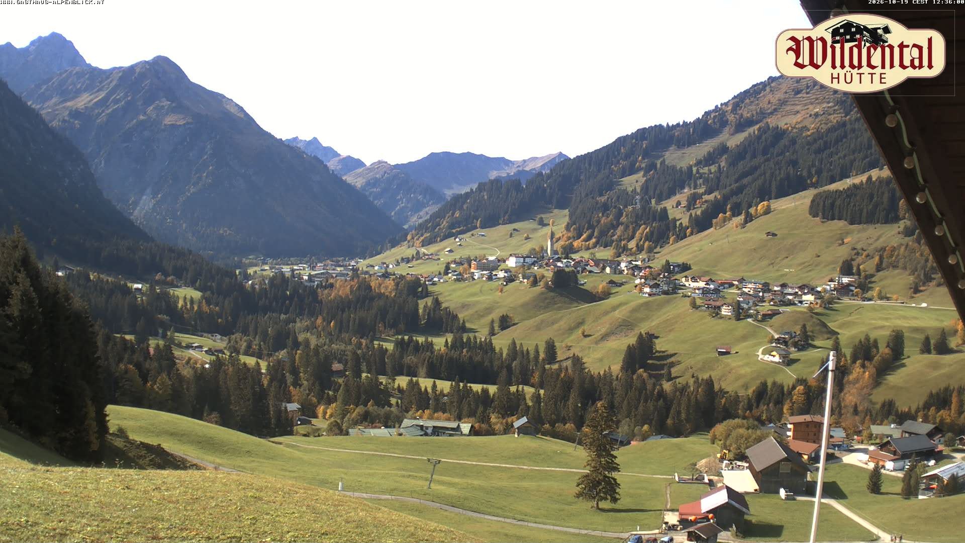 Archiv Foto Webcam Wildentalhütte, Höfle