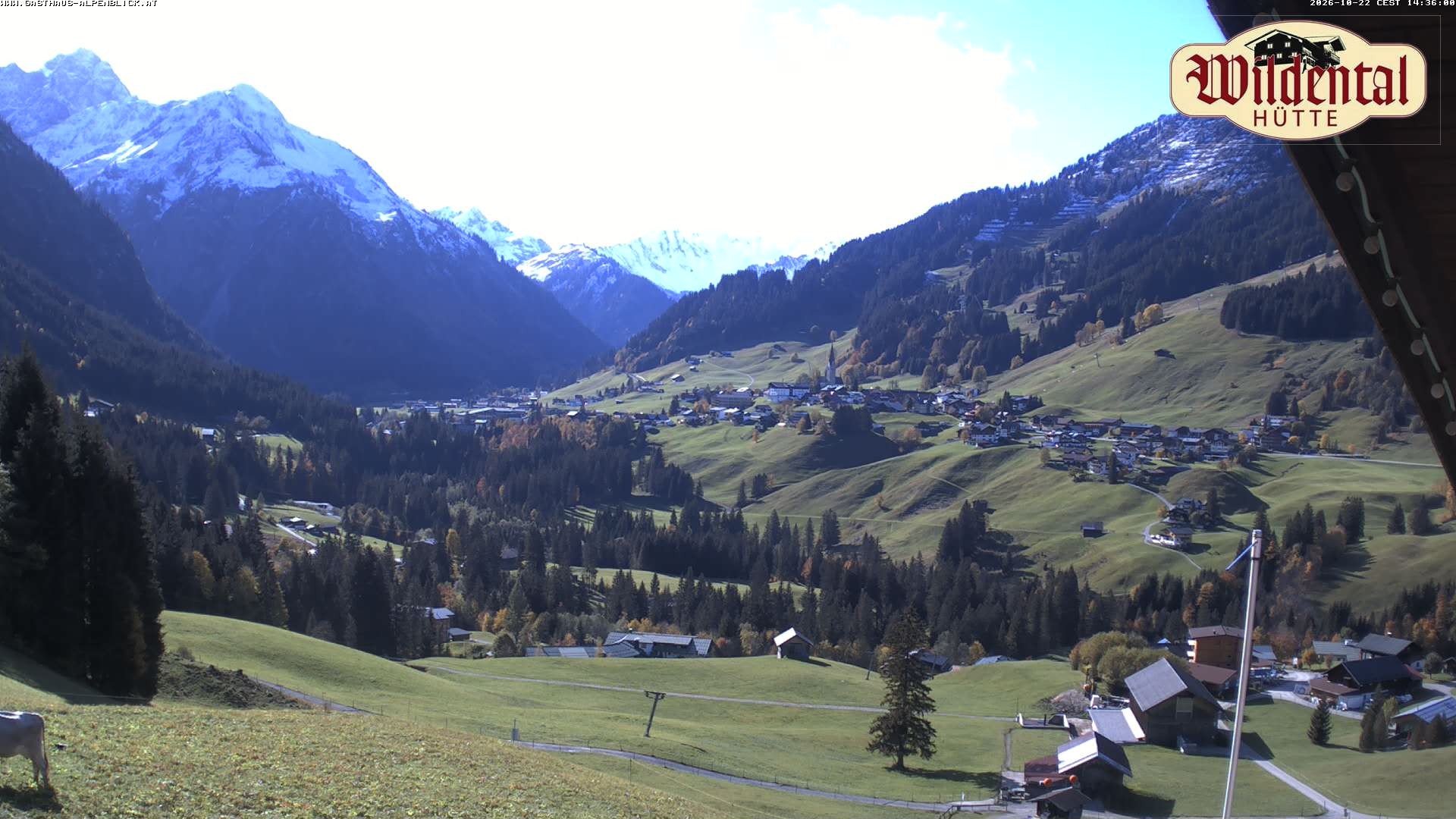 Archiv Foto Webcam Wildentalhütte, Höfle