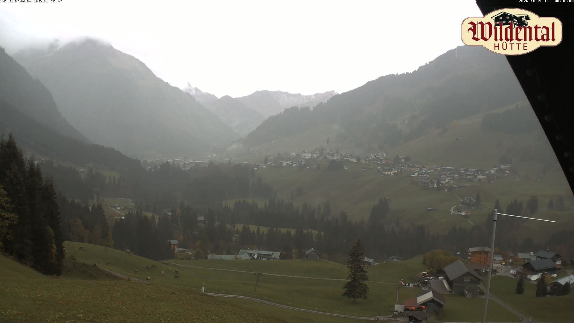 Archiv Foto Webcam Wildentalhütte, Höfle