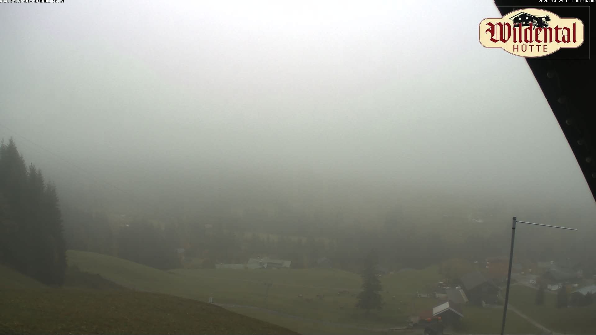 Archiv Foto Webcam Wildentalhütte, Höfle