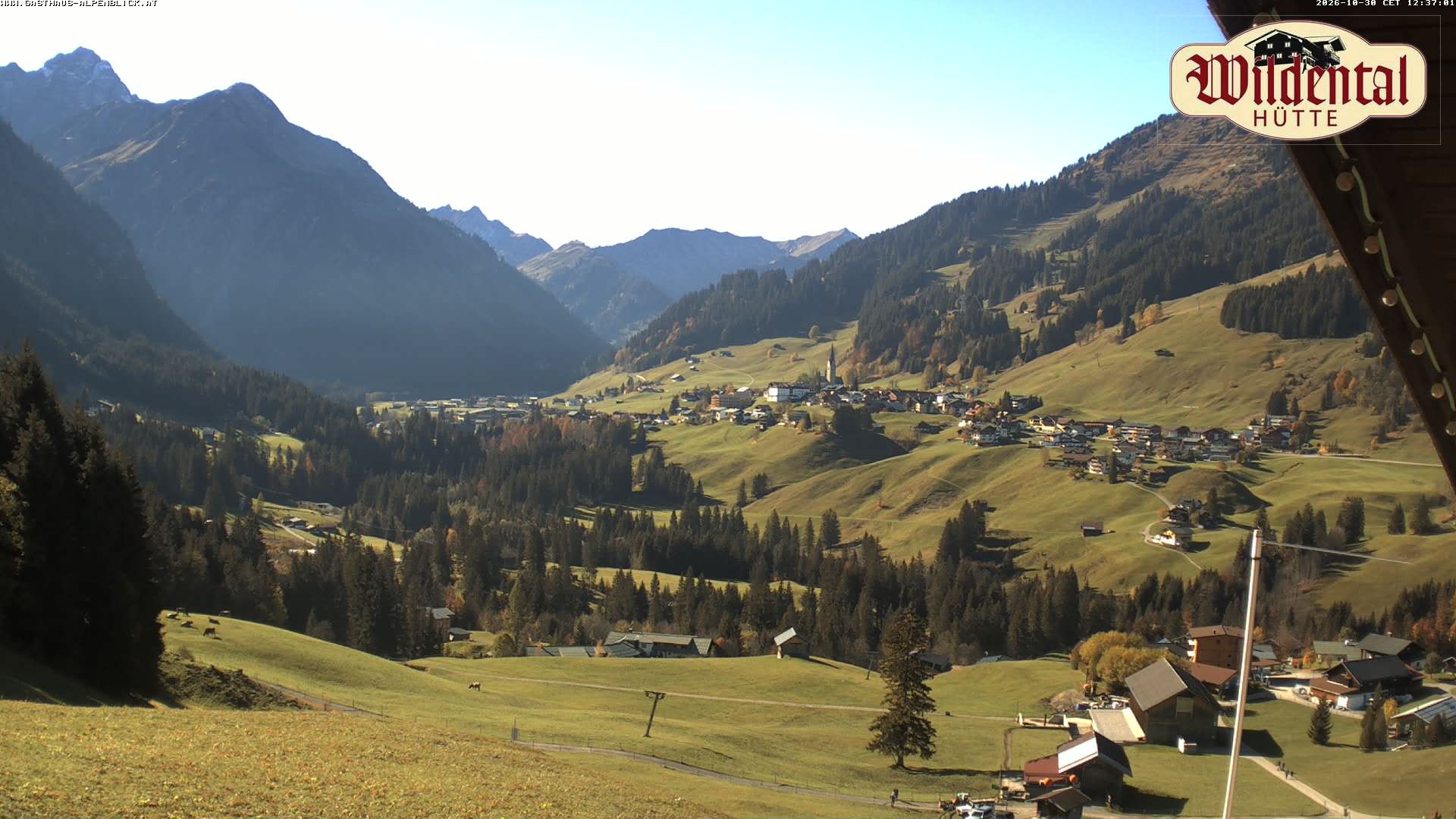 Archiv Foto Webcam Wildentalhütte, Höfle