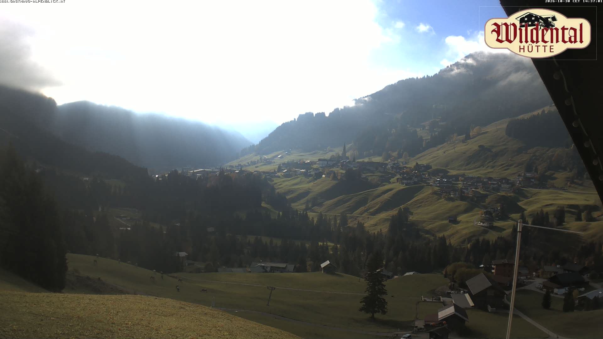 Archiv Foto Webcam Wildentalhütte, Höfle