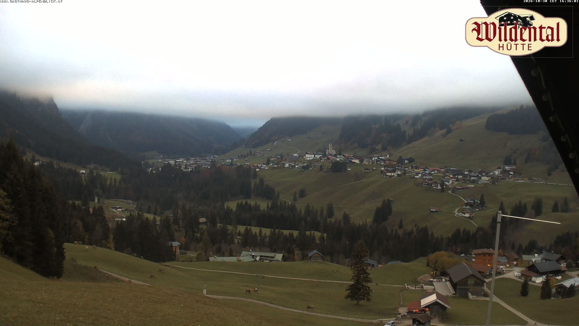 Archiv Foto Webcam Wildentalhütte, Höfle