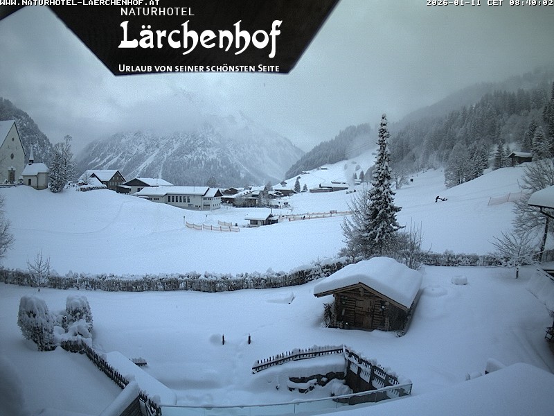Archived image Webcam Laerchenhof Nature Hotel