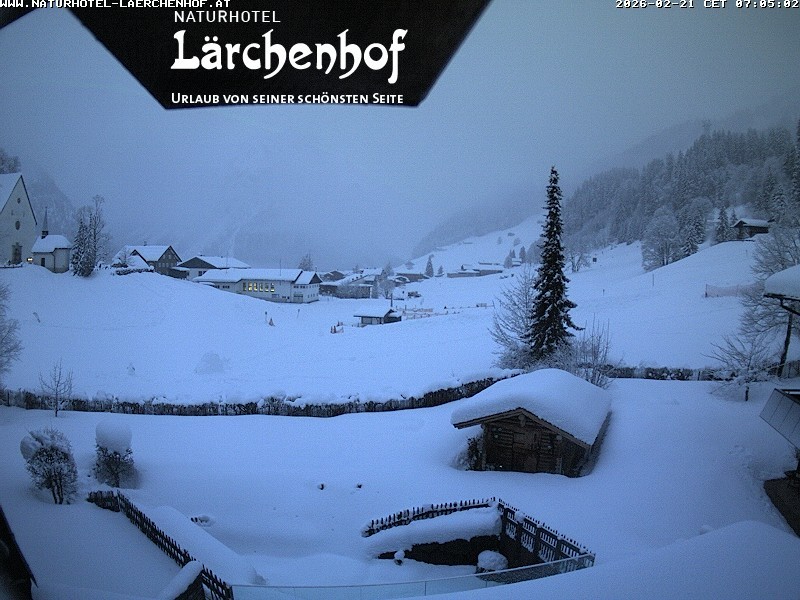 Archived image Webcam Laerchenhof Nature Hotel