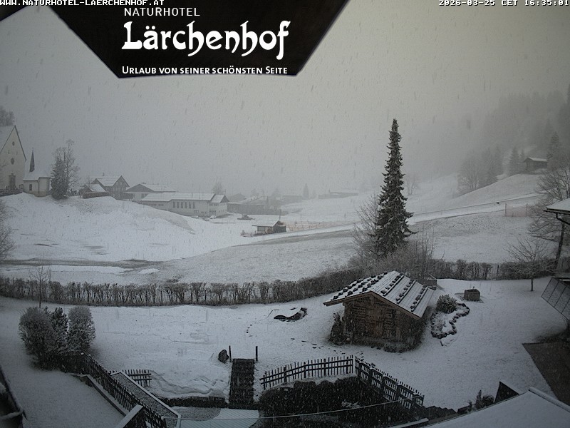Archived image Webcam Laerchenhof Nature Hotel