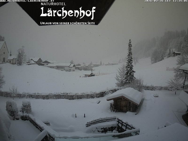 Archiv Foto Webcam Naturhotel Lärchenhof